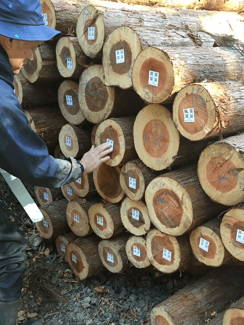 木材トレーサビリティシステム